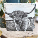 Set of 4 Highland cow slate coasters with detailed engraved design, perfect for rustic home decor