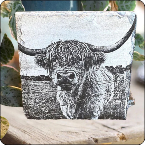 Set of 4 Highland cow slate coasters with detailed engraved design, perfect for rustic home decor
