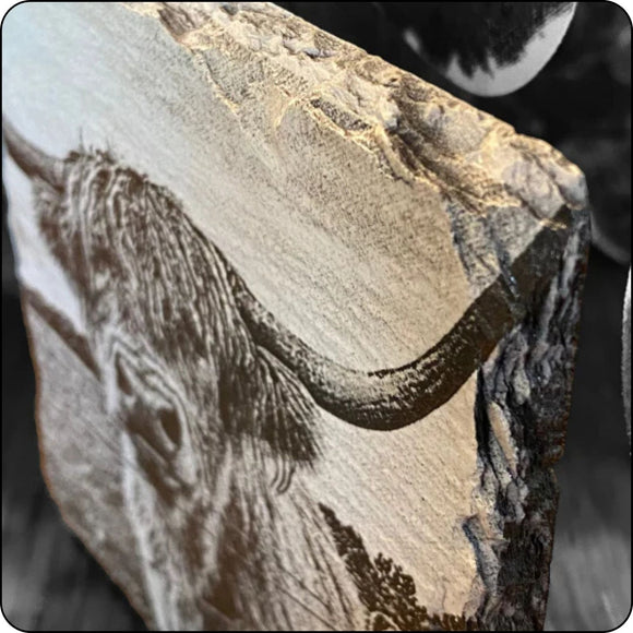 Close-up of Highland cow slate coaster edges, showcasing natural stone texture and durability