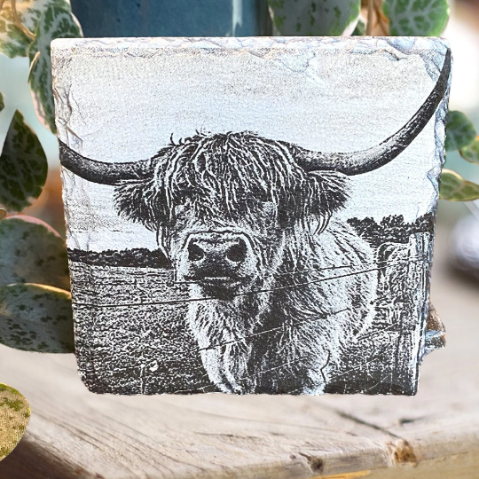 Highland Cow Slate Coaster